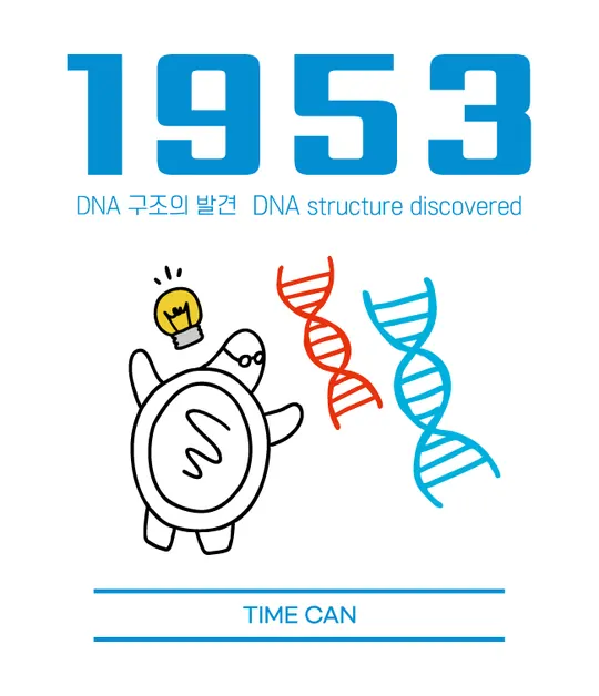 1953 라벨 — DNA 구조의 발견